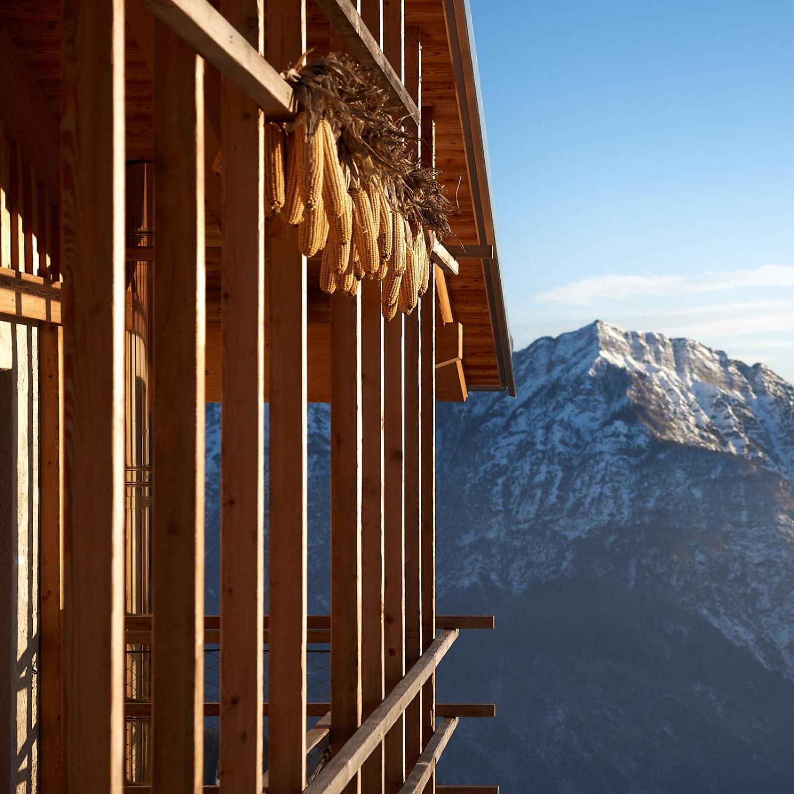 Nif: Alpine Taste Hotel Levico Terme Buitenkant foto